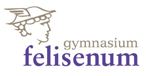 felisenum-logo